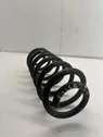 Rear coil spring