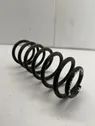 Rear coil spring