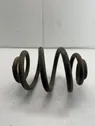 Rear coil spring