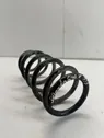 Rear coil spring