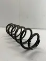 Rear coil spring