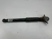 Rear shock absorber/damper