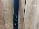 Windshield trim