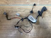 Cableado de puerta trasera