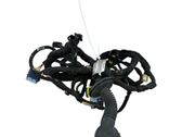 Front door wiring loom