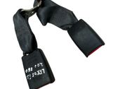 Middle seatbelt buckle (rear)