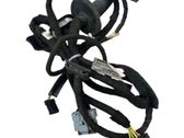 Rear door wiring loom