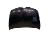 Engine bonnet/hood