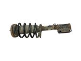 Front shock absorber with coil spring