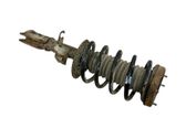 Front shock absorber with coil spring