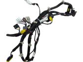 Front door wiring loom
