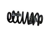 Rear coil spring