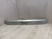 Trunk door license plate light bar
