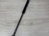 Tailgate/trunk strut/damper