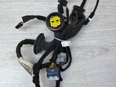 Rear door wiring loom