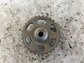 Zahnrad Stirnrad Steuerkette