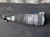 Rear shock absorber/damper