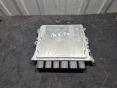 Engine control unit/module ECU
