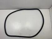 Front door rubber seal