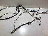 Other wiring loom