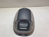 Front seat light