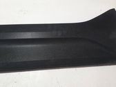 Front door trim (molding)