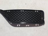 Front bumper lower grill
