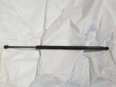 Tailgate/trunk strut/damper