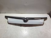 Trunk door license plate light bar