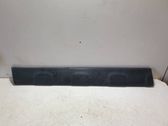 Front door trim (molding)