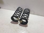 Rear coil spring