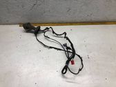 Cableado de puerta trasera