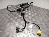Front door wiring loom