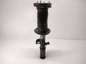 Front shock absorber/damper