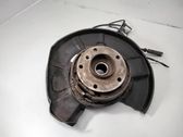 Rear wheel hub