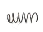 Front coil spring