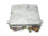 Engine control unit/module ECU