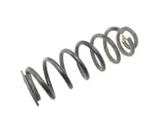 Rear coil spring