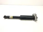 Rear shock absorber/damper