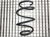 Front coil spring