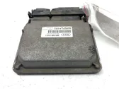 Engine control unit/module ECU