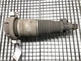 Rear shock absorber/damper