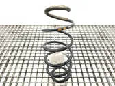 Front coil spring