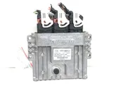 Engine control unit/module ECU