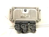 Engine control unit/module ECU