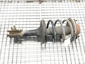 Front shock absorber/damper