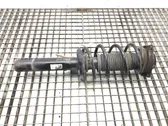 Front shock absorber/damper