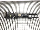 Front shock absorber/damper