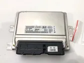 Centralina/modulo motore ECU