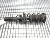 Front shock absorber/damper